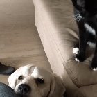 [Εικονίδιο]