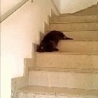 [Εικονίδιο]