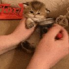 [Εικονίδιο]