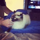 [Εικονίδιο]