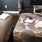 [Εικονίδιο]