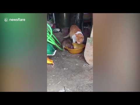 [Εικονίδιο]