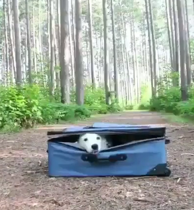 [Εικονίδιο]