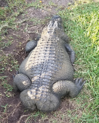 [Εικονίδιο]